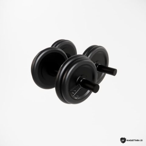 18 Halteres 1
