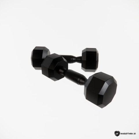 19 Halteres 3