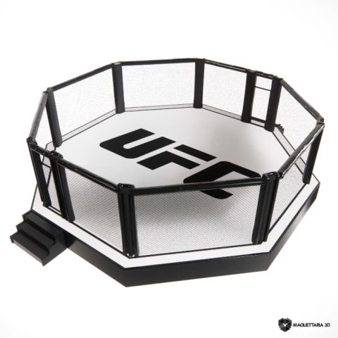 2 Hight Poly Octogono