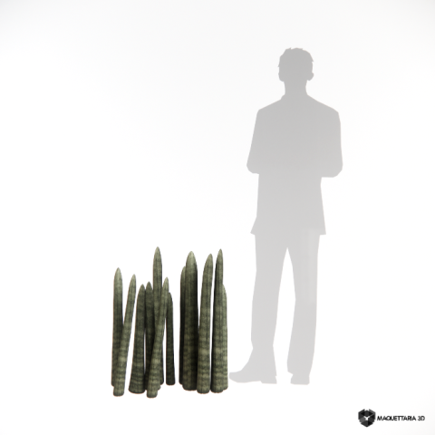 Lança de São jorge