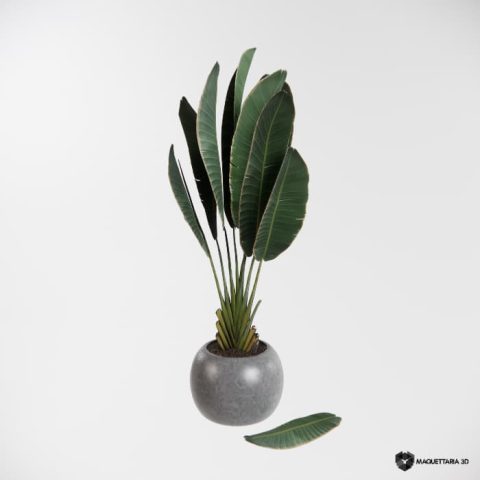 Vaso com Folha de Bananeira 02