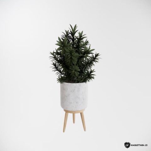 Vaso com vegetação 02