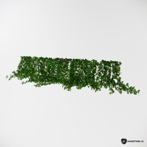 Vegetação pendurada 16