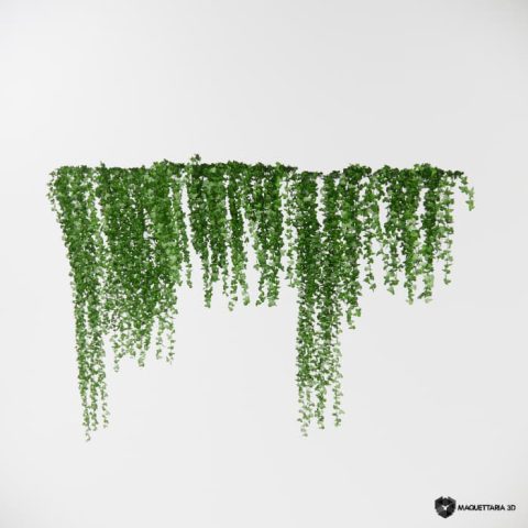 Vegetação pendurada 17