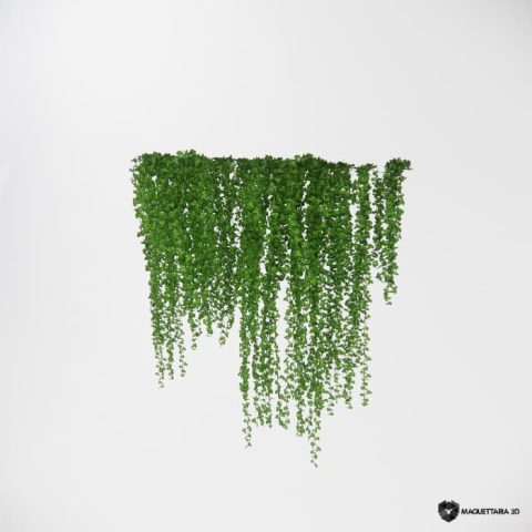 Vegetação pendurada 18