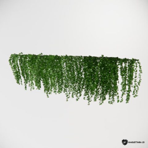 Vegetação pendurada 19