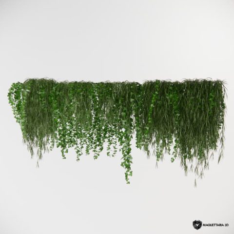 Vegetação pendurada 20