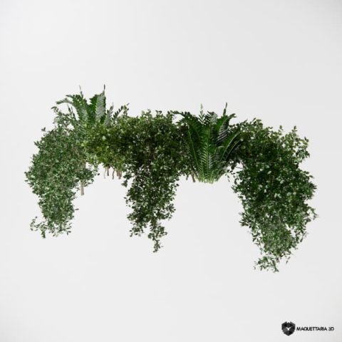 Vegetações Penduradas 01