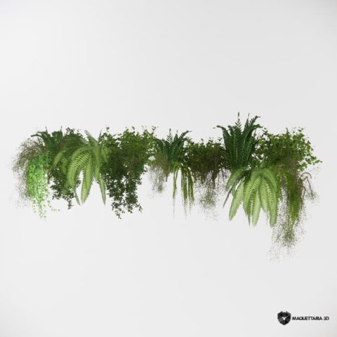 Vegetações Penduradas 04