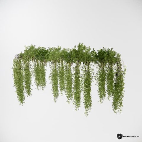 Vegetações Penduradas 06