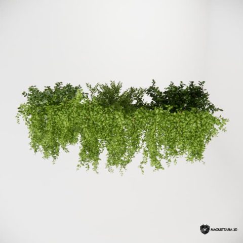 Vegetações Penduradas 07