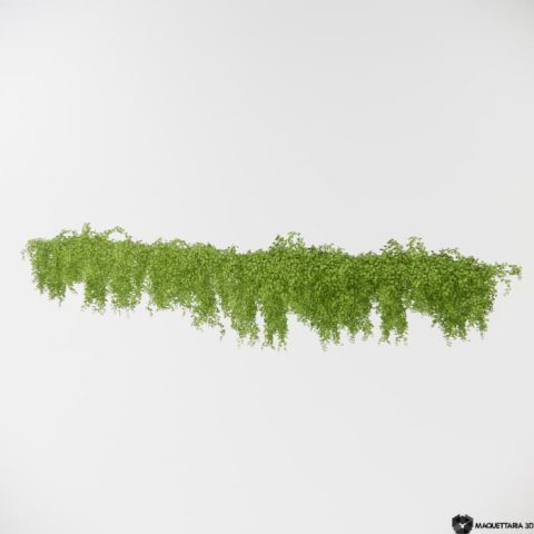 Vegetações Penduradas 08