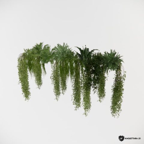 Vegetações Penduradas 09