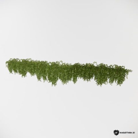 Vegetações Penduradas 10