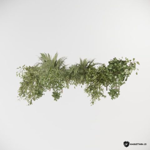 Vegetações Penduradas 13